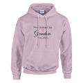 Promoted to Grandma Est. 2026 Hoodie in blush pink with “Promoted to Grandma” script, heart graphic, and “Est. 2026” text printed on the front